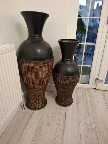 Tall indoor african - african, /