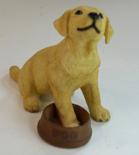 Leonardo golden labrador - ,