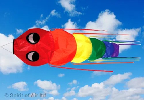 Bug windsock for flagpole - windsock,