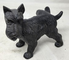 2 Scottish Terrier, Naughty
