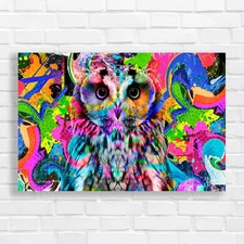 Vibrant Owl Abstract Original