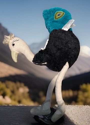 Dancing peacock stuffed plush - dancing,