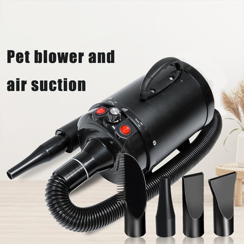 Professional pet hair dryer - hair,