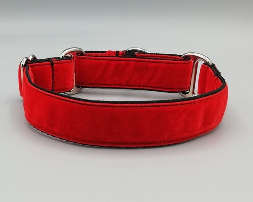Velvet red martingale dog - velvet,