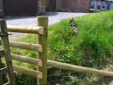 L8/80/15 Stock Fencing Sheep