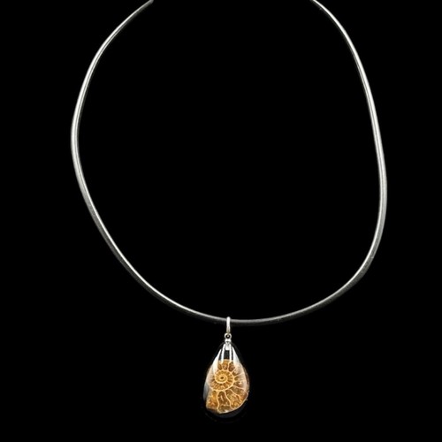 Madagascar ammonite pendant