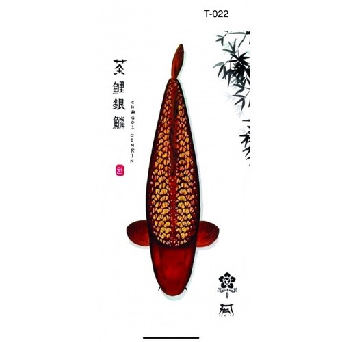 Koi art print t022 chagoi - koi,