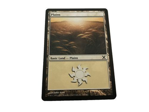 Plains 365 383 10th edition - 365/383,