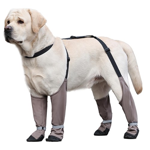 Dog shoes waterproof - dog, shoes,waterproof
