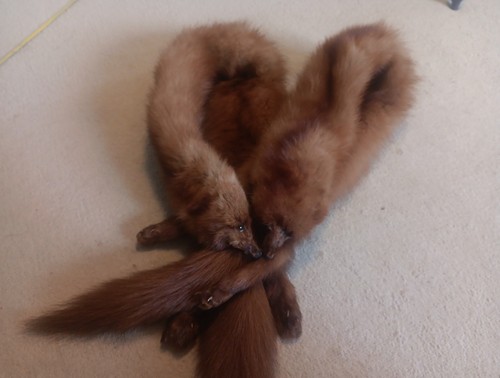 Vintage double mink fur - vintage,