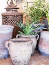 Terracotta Plant Pot, Succulent Planter, Vintage Pot with Handles, Rustic Pot