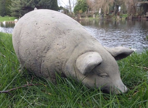 Stone garden pig - 🇬🇧stone,