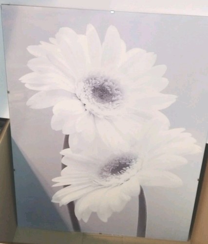 Greyscale beautiful flowers - greyscale,