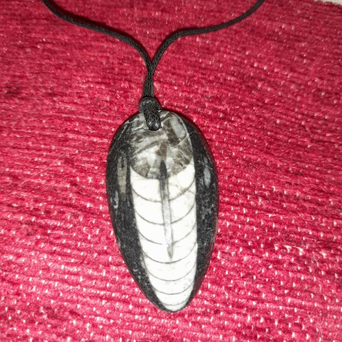 Bnib fossil pendant - bnib,
