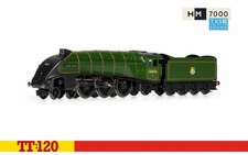 Hornby TT3008TXSM Class A4