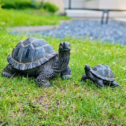 Turtle outdoor statue - outdoor,