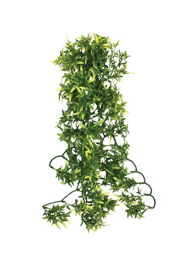 Reptile vivarium realistic - reptile,