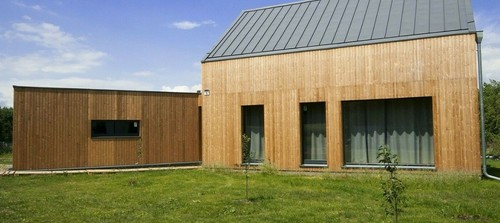 Siberian larch cladding tongue - larch,