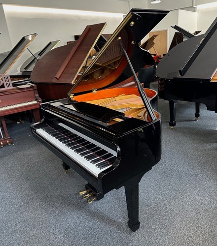Challen 142 baby - baby, grand