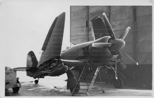 Hawker sea fury aviation - fury,