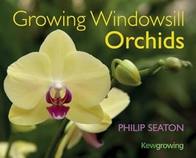 Growing windowsill orchids - growing,