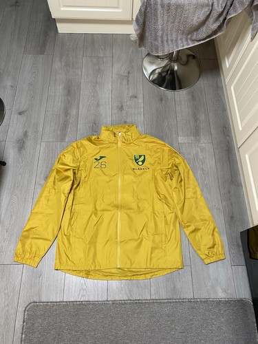 Norwich city match worn - norwich,