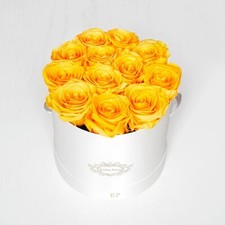 Eternal Petals A 100% Real Rose That Lasts Years, Handmade in UK