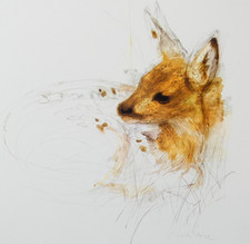 Deer Wildlife Art Print Mads Stage Fawn Illustration Danish Artist