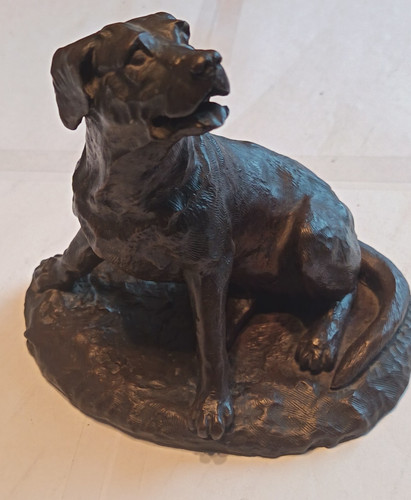Heredities labrador hayton - heredities, labrador,