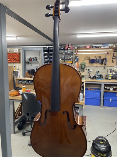 Stentor cello ii - cello,