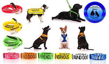 Warning alert dog - alert, collar