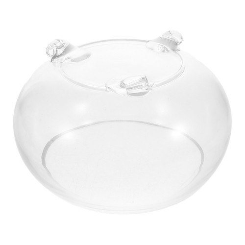 Durable glass fish - glass,
