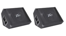 2 Peavey PV15M 15" 2-way