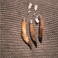 Taxidermy Muntjac Foot