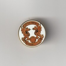 LEYTON ORIENT F.C. Club Crested Enamel Badge FREE POST UK