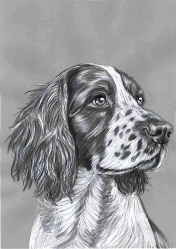 Original pencil drawing - pencil,