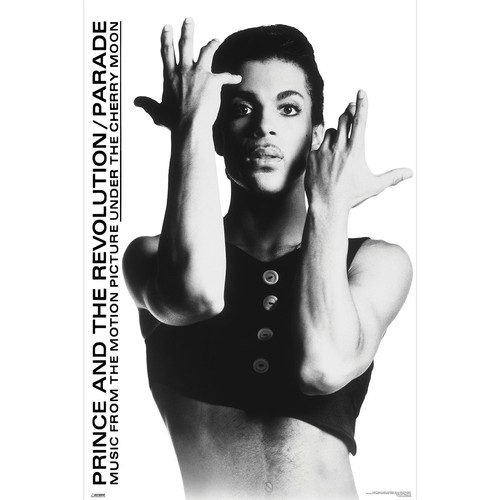 Prince parade poster - prince,