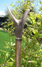 HAND CRAFTED HAZEL STAGSHORN