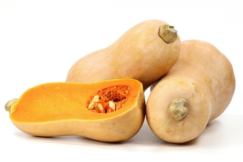 Vegetable kings seeds - vegetable,