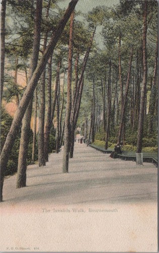 Dorset postcard the - dorset, invalids'