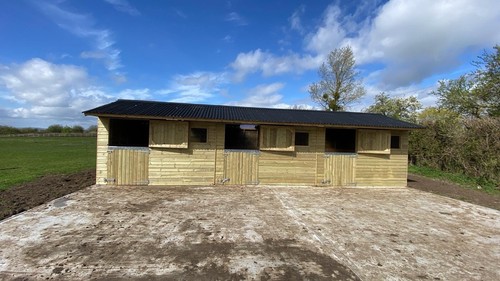 10ft 30ft horse - x, wooden