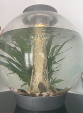 Biorb 30l fish tank - biorb,