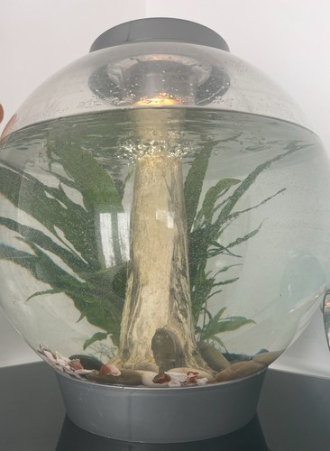 Biorb 30l fish tank - 30l,