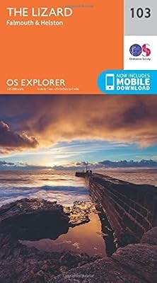 Explorer map lizard - explorer,