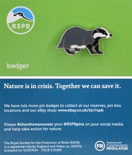 RSPB Pin Badge NIIC Badger