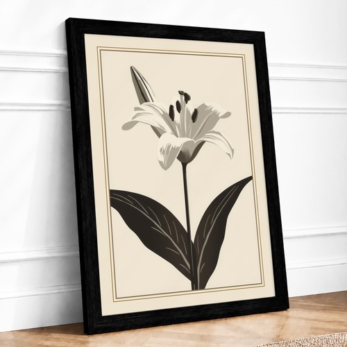 Classical lily study - classical, botanical