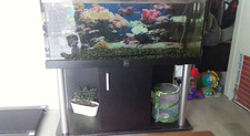 300l aquarium with stand hood and light