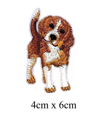 Beagle dog domestic animal - beagle,