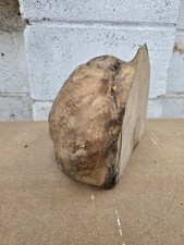 Rare Ash Burr Burl Woodturning Resin Blank Bowl Wood Carving. Air Dried 5.3kg