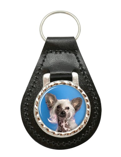 Chinese crested dog leather - chinese,